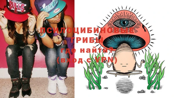 трава Абаза