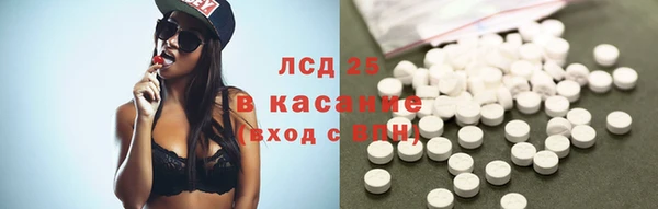 индика Нязепетровск