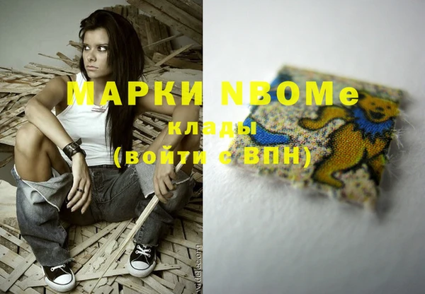 индика Нягань