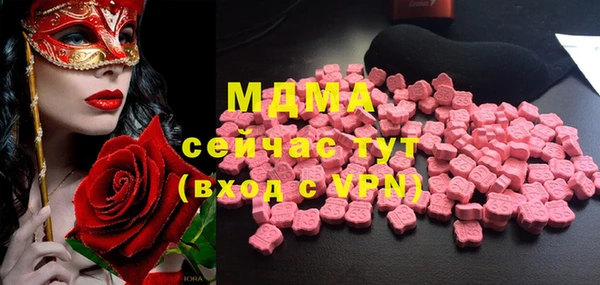 индика Нягань
